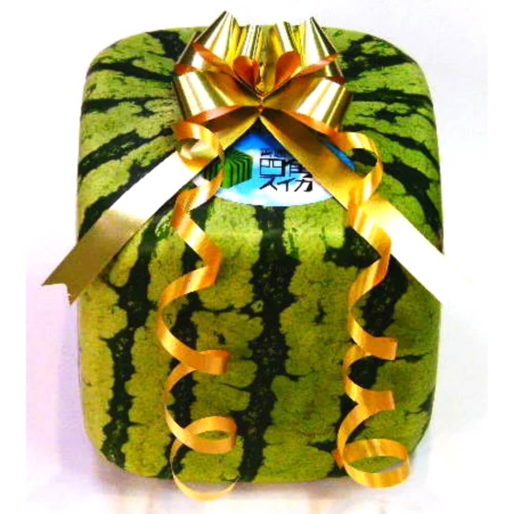 Crazy Shaped Watermelons, the secrets of the Japanese luxurious fruit