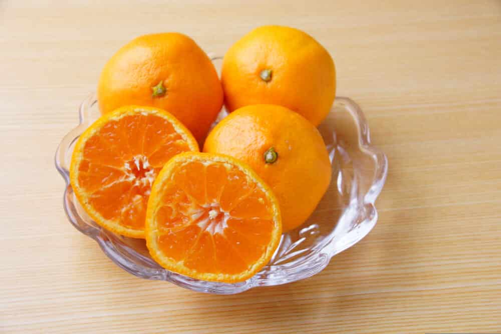 Yuzu & Mikan & Sudachi, Oh My! Japan's Most Popular Citrus Fruit